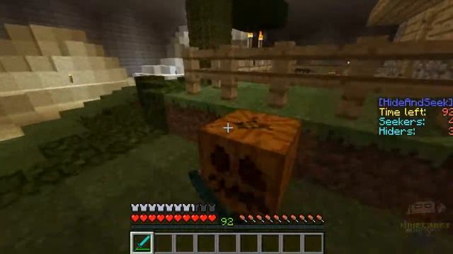 Minecraft: Hide And Seek #Camuflagem level 99999