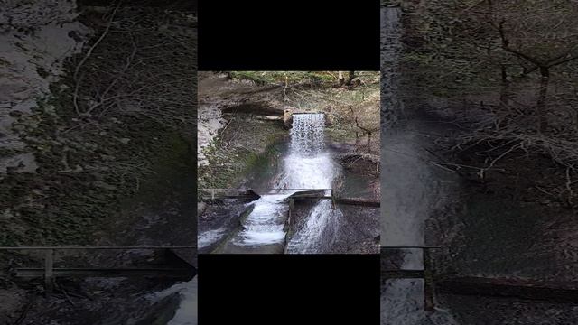 черниговка.mp4