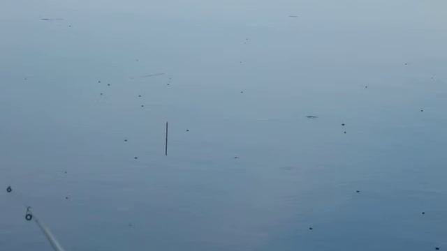 Ловля карася 25 май 2014 (Catching crucian, may 25 2014)
