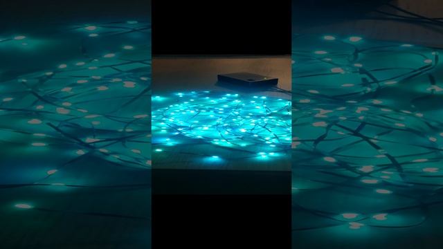 1000016595.mp4