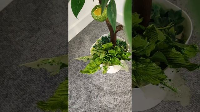 К Новому🎄году...готовы🎉