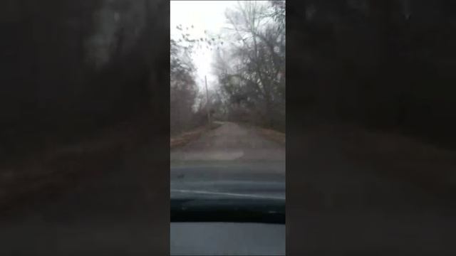 VID-20241203-WA0013.mp4