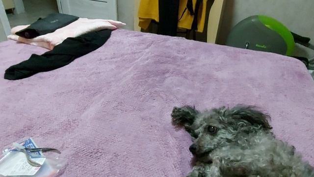 📽Покатаемся на машине💥И опять всё про еду💥Суп солянка😋 #familyvlog