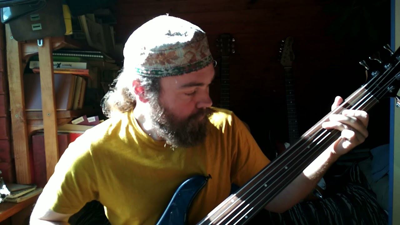 Enya - Orinoco Flow - fretless bass cover