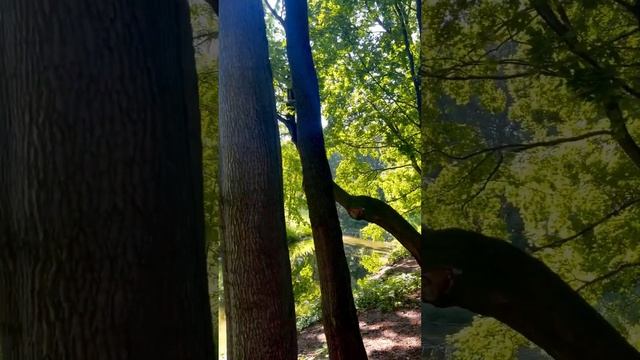 ❗️ПАРК-УСАДЬБА В БЫКОВО🌳🏰💦