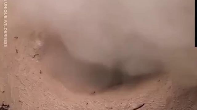 спортзал своими руками 👍