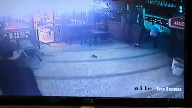 Вход с собаками запрещён 😂