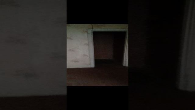 VID_20241111_151046