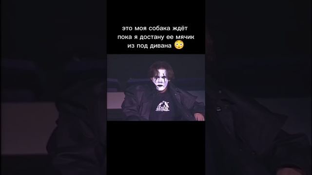 Когда у тебя лапки