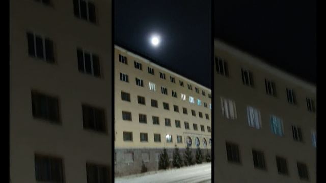 2024-12-09-122815575.mp4 Елена Дружиненко Воркута