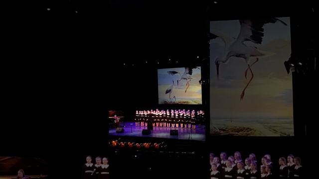 "Аист на крыше"