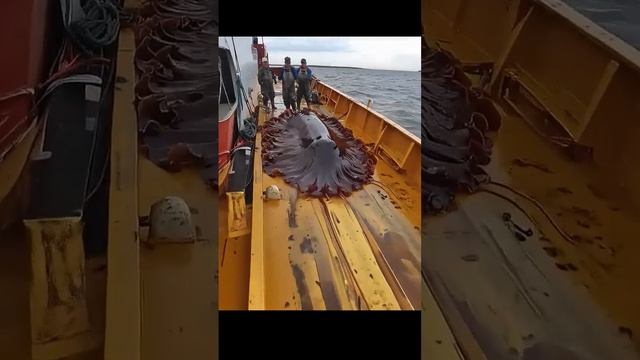 56.MP4