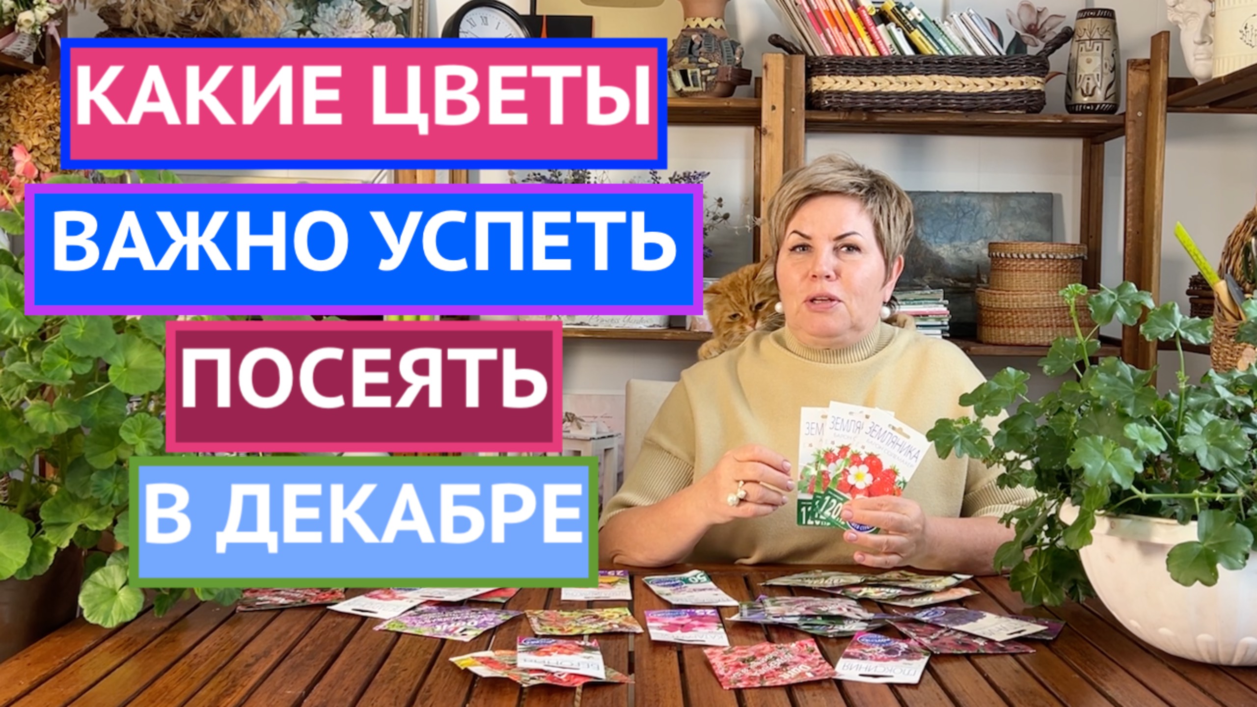 НЕ УПУСТИТЕ ВРЕМЯ! СЕЕМ ЦВЕТЫ В ДЕКАБРЕ!