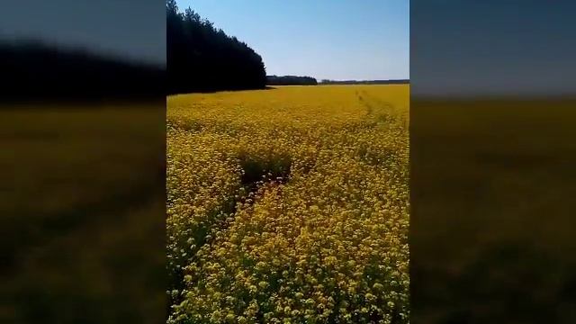 Внимание если это видео вам непонраыится но это мои фотки видом летом