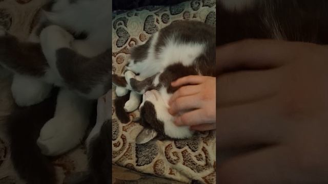 Маленький комок моего счастья! 🔥