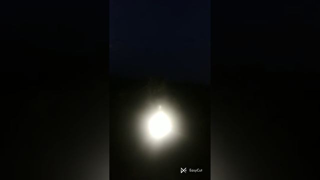Вот такая жизнь насекомых 😔