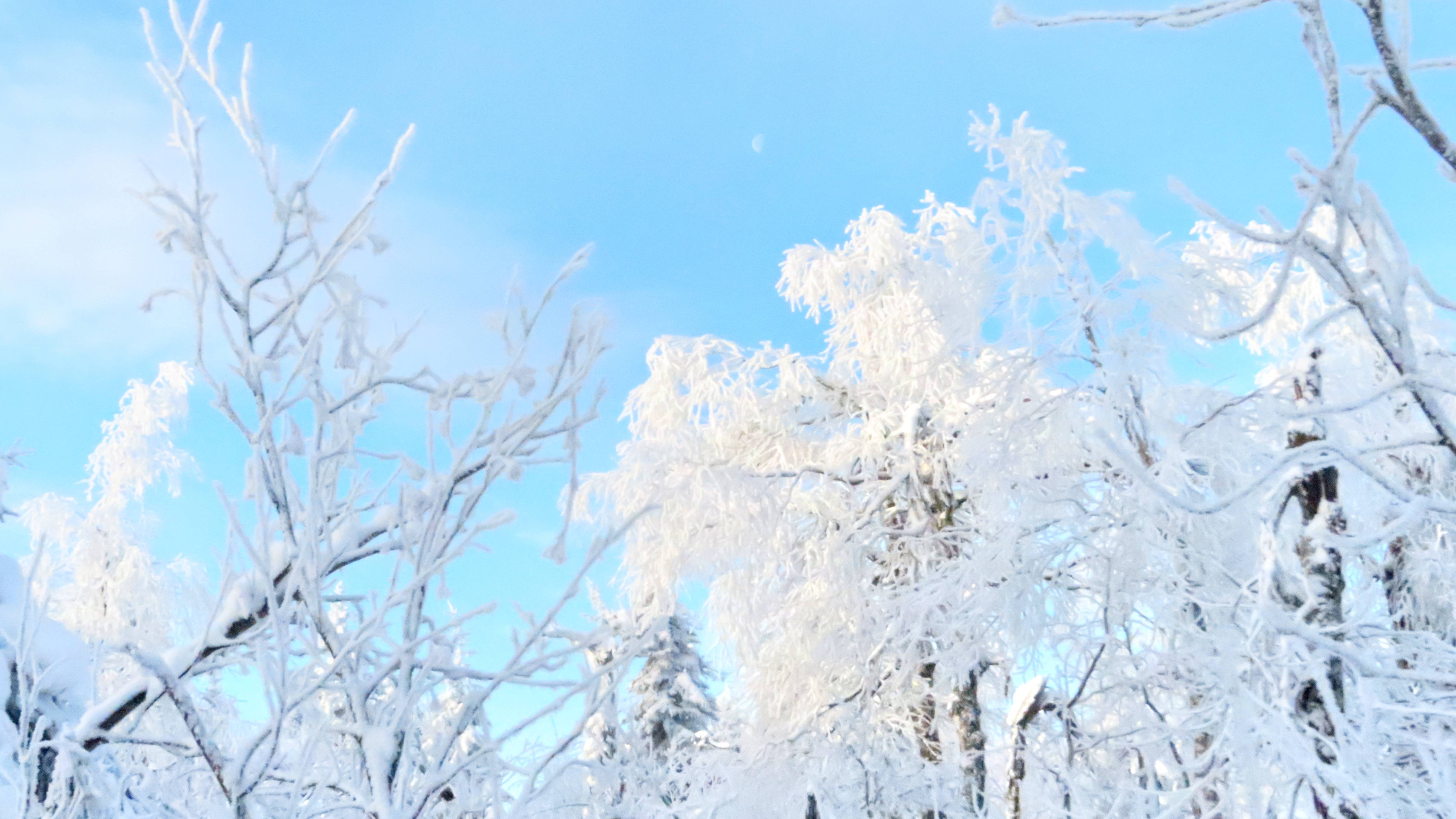 Одеяло зимы