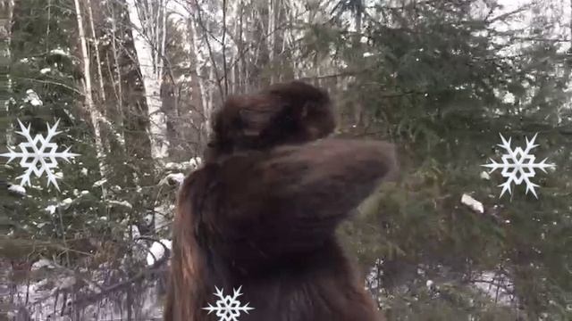 Собираемся на Север!