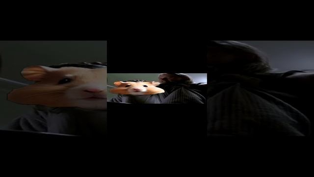 Где деньги? #shorts #reels #memes