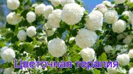 Цветочная терапия. Цветочный релакс