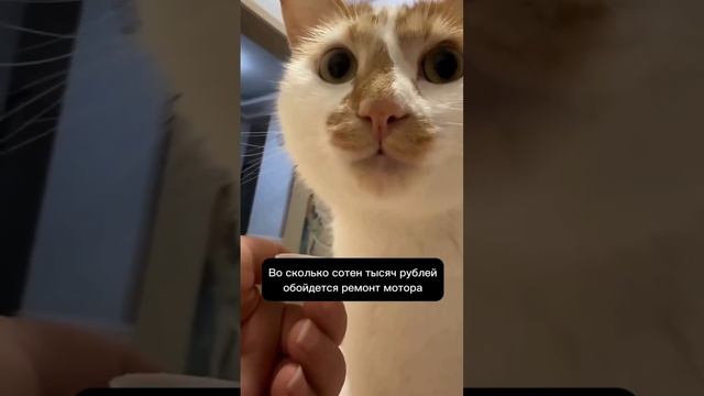 И ТАКОЕ БЫВАЕТ..
