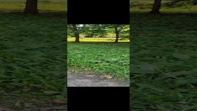 7d623a5d-6515-4ca6-86ae-42c014ebd097-1_all_25182.mp4