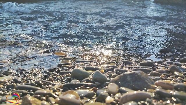 Звуки природы. Фильм 6. Ручей и море