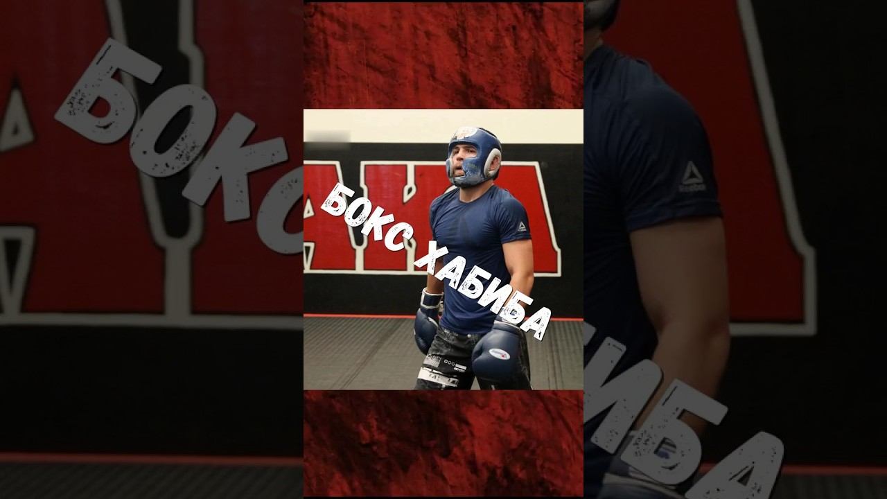 Бокс Хабиба #boxing #бокс #mma #ufc