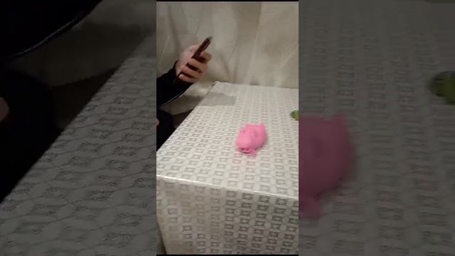 МИСТЕР МАКС: ЩЕНЯЧИЙ ПАТРУЛЬ 🐶🚓