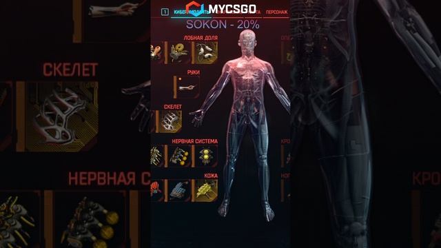 Промокод на 20% при пополнение на mycs2.gg
SOKON