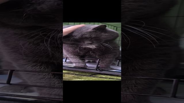 Жека.mp4