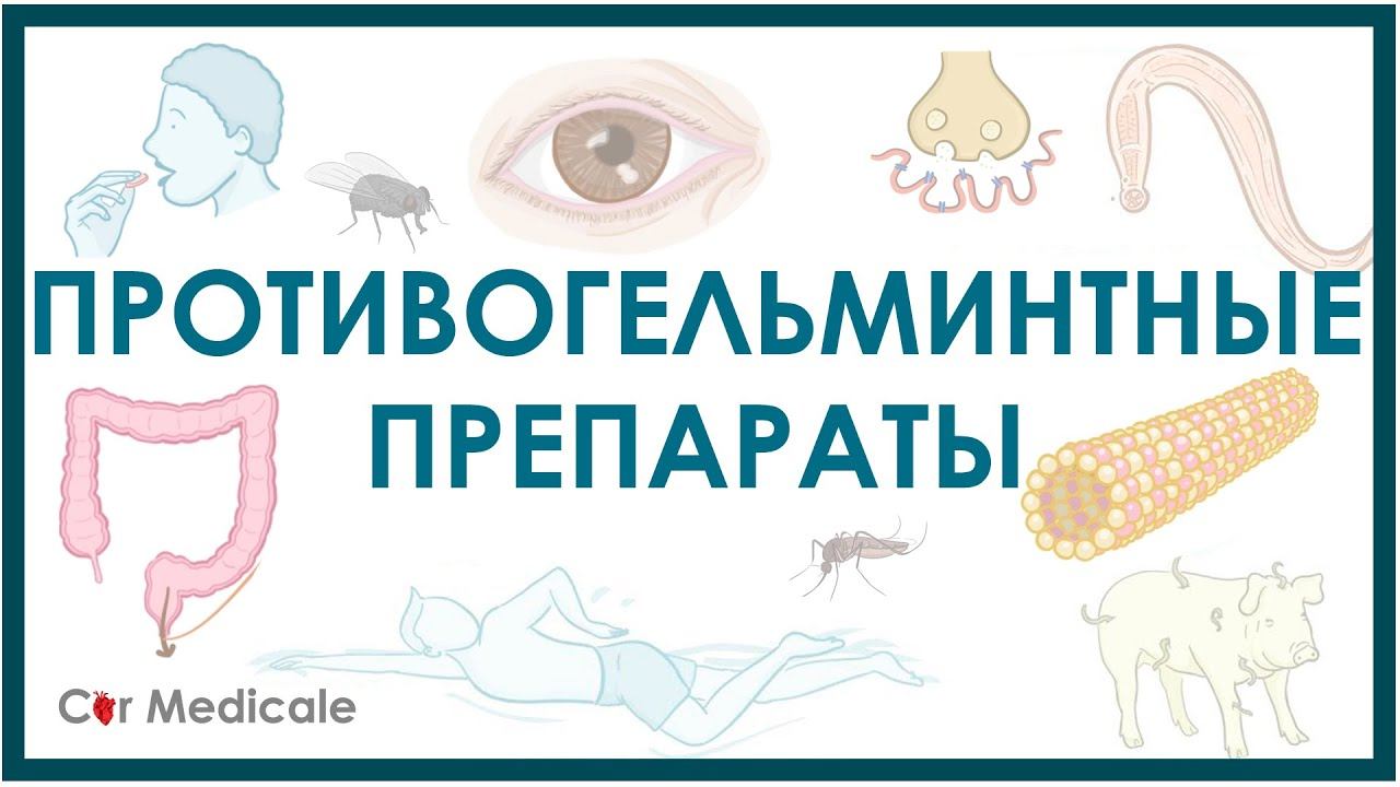 Противоглистные/противогельминтные средства - немного о паразитах, механизм действия, побочка