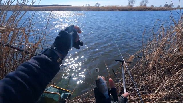 А НА ЧТО ТЫ ГОТОВ РАДИ ПОКЛЕВКИ?