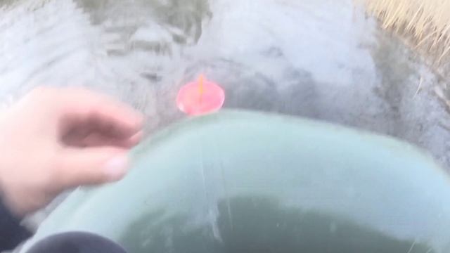 ЩУКА ТАСКАЕТ КРУЖКИ ПО ВСЕМУ ВОДОЁМУ! Рыбалка на мелководном канале.