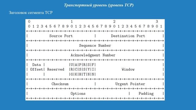 Сети