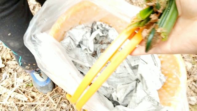 春の山菜こごみ採り  ２０２１年５月１日  北海道釧路市