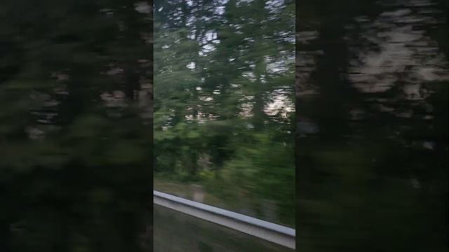 По дорогам Абхазии