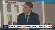 Richard Marles has been ‘consistently’ wrong about coal: Rita Panahi