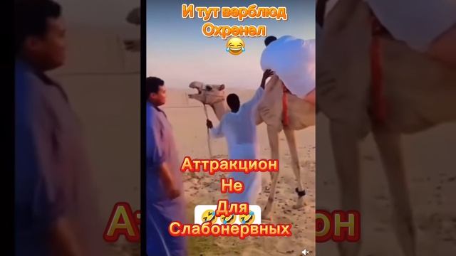 Аттракцион 18+ 😂