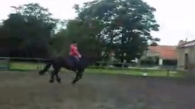 Beth Jumping Practice with Izzy xxx
