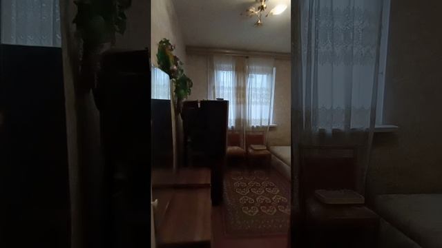 Комарова