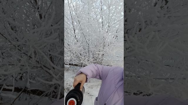 Как мы ходили пить чай в лес! 😍👍