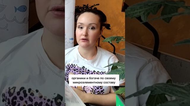 🌿 Торф: Верх или Низ? Выбираем правильно для идеального грунта! 🌿