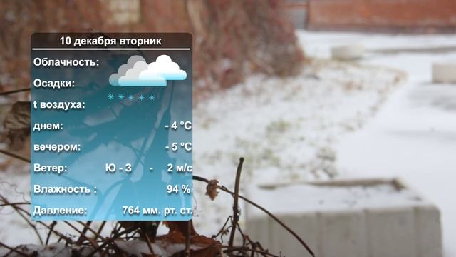 Погода на завтра_09_12_24