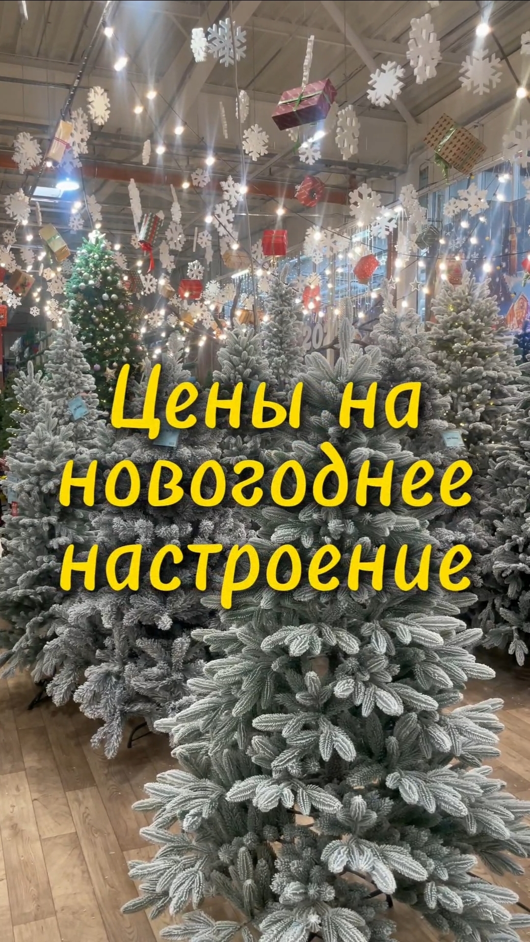 Цены на новогоднее настроение в Крыму.