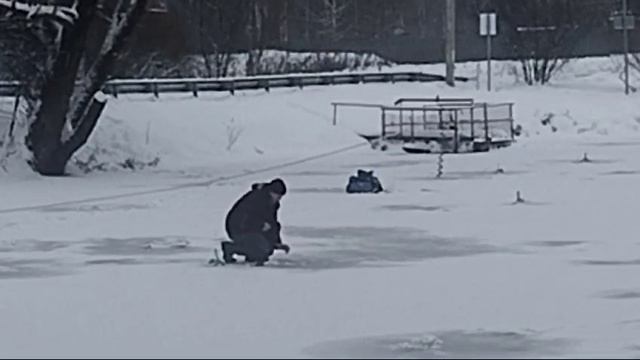 Светлые Горы Форель 09.12.2024г.