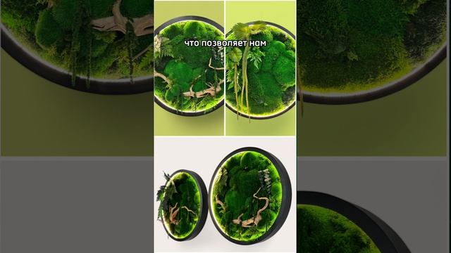 Панно мох купить