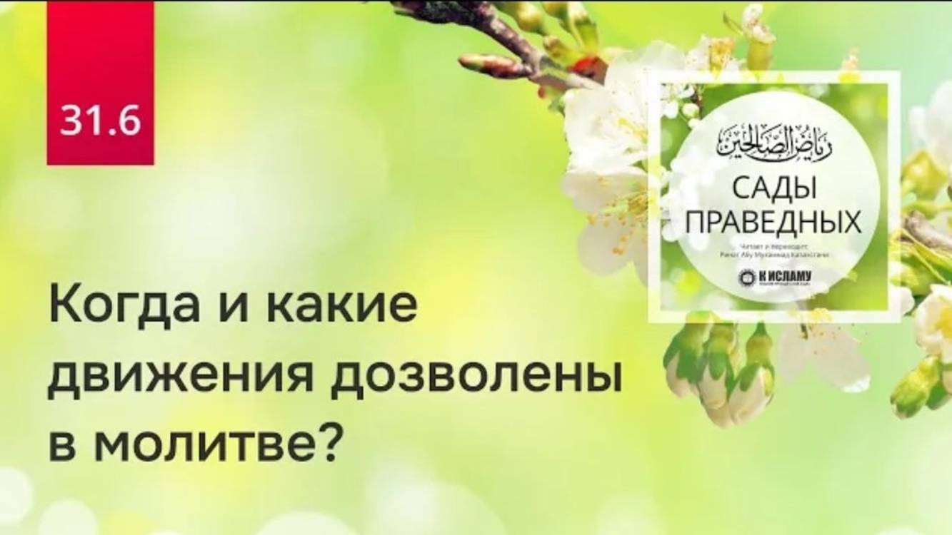 31.6 Когда и какие движения дозволены в молитве. Хадис 251  Сады праведных. Ринат Абу Мухаммад