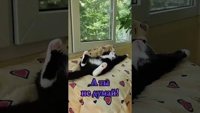 VID-20240225-WA0025.mp4