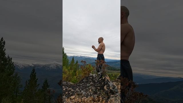 26